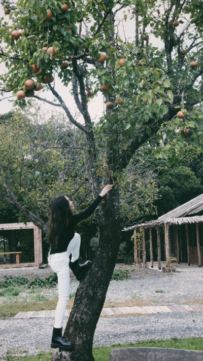 【侵权删】这里是Angelababy（杨颖）的美图啦~可甜可盐可飒你值得拥有哦！
我在豆蔻年华遇见你，想要陪你好多好多年。（图源很广，带水印，只是个人集baby美图）