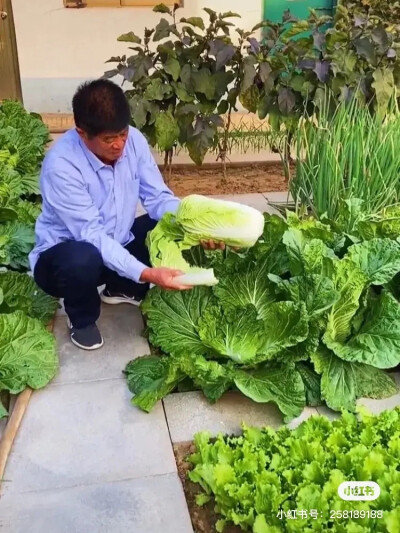 心中的桃源-小红书转载