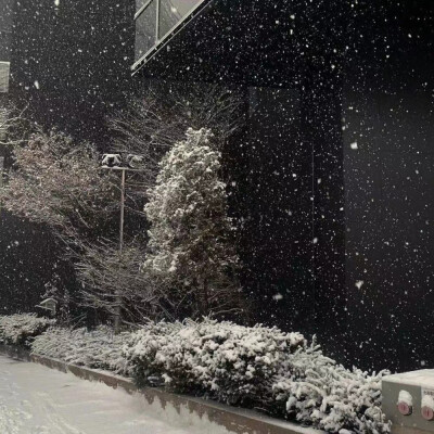 大雪