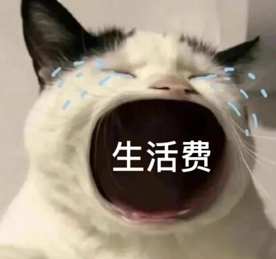 生活费～