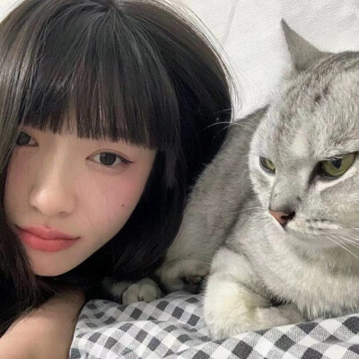 抱猫女头