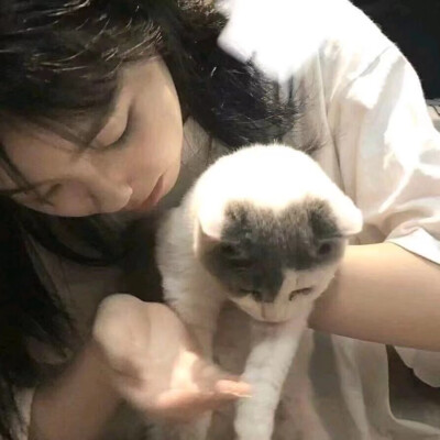 抱猫女头