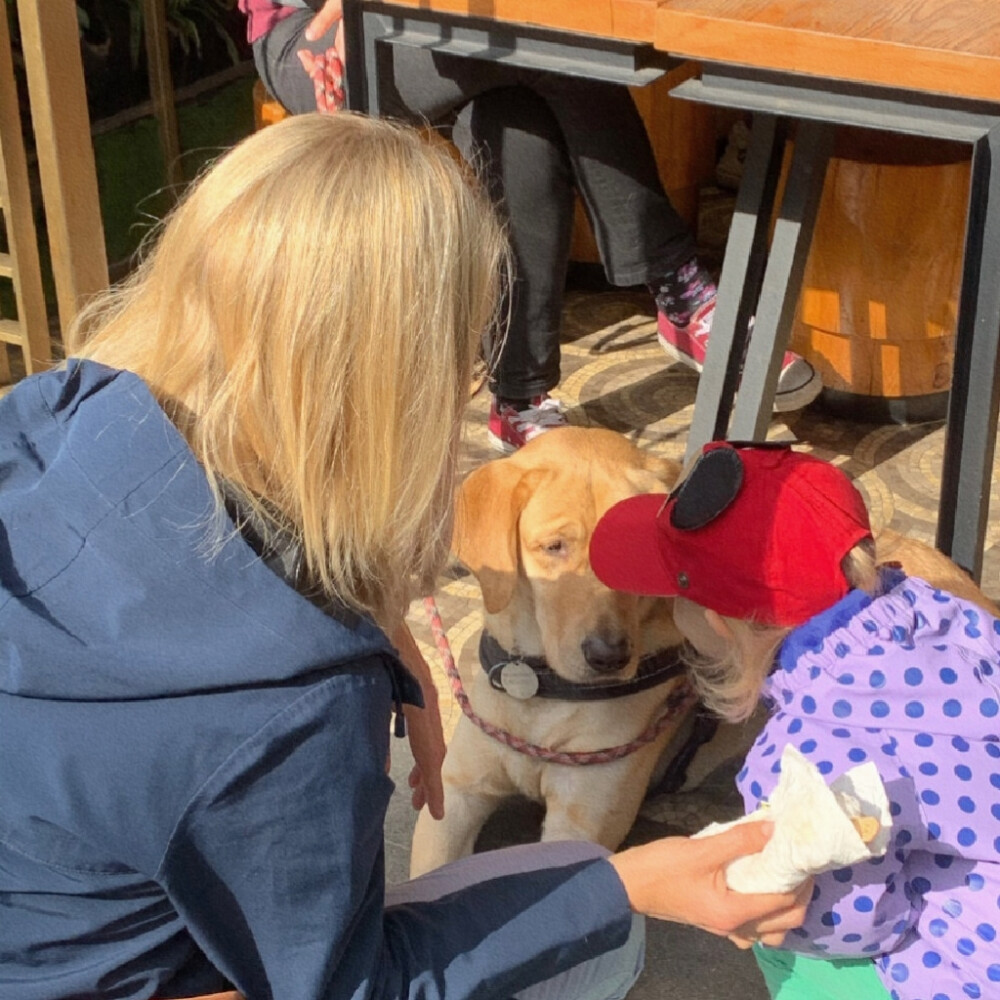 
我梦见你梦见我