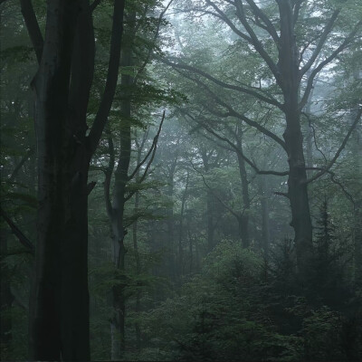 二传注明暴雨集