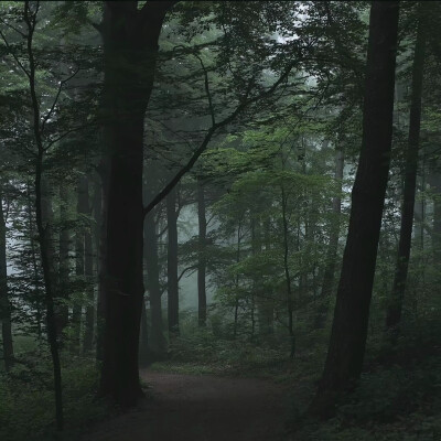 二传注明暴雨集