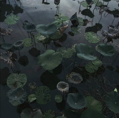 二传注明暴雨集