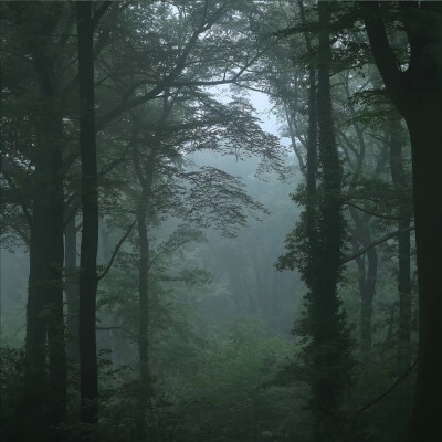 二传注明暴雨集