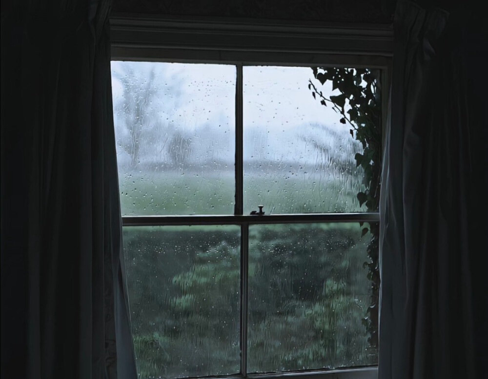 二传注明暴雨集