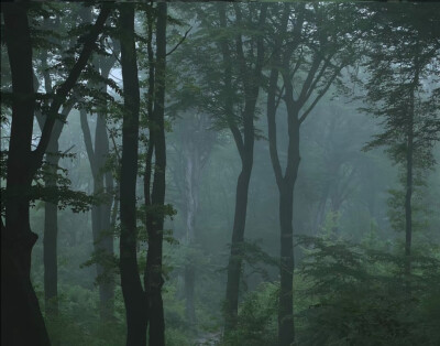 二传注明暴雨集