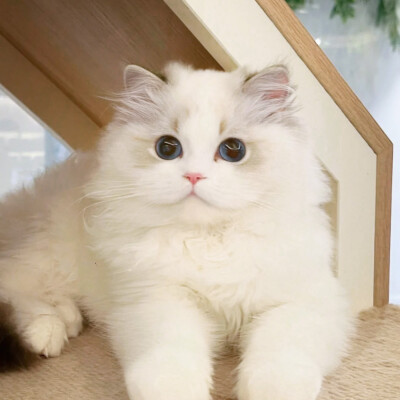 二传注明堆糖孙然哥哥