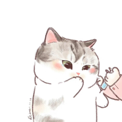 猫咪
