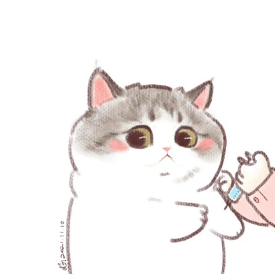 猫咪
