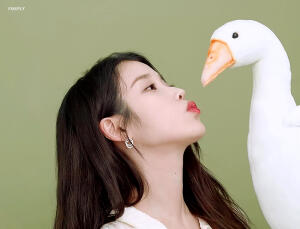 李知恩 iu 动图
cr.firfly 