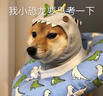 存图侵删