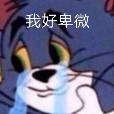 存图侵删