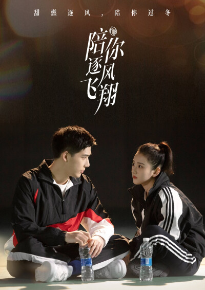 陪你逐风飞翔 