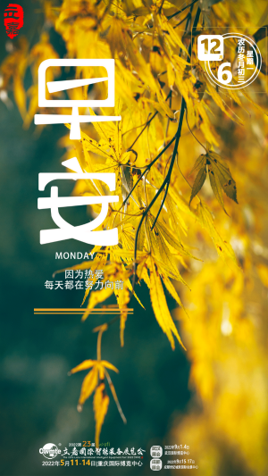 因为热爱，每天都在努力向前！