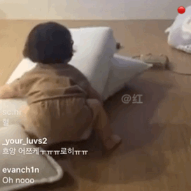 罗熙