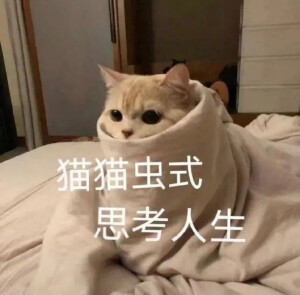  『阿猫阿狗沙雕表情包』



图源网络 可补充至评论区
素质取图！！！