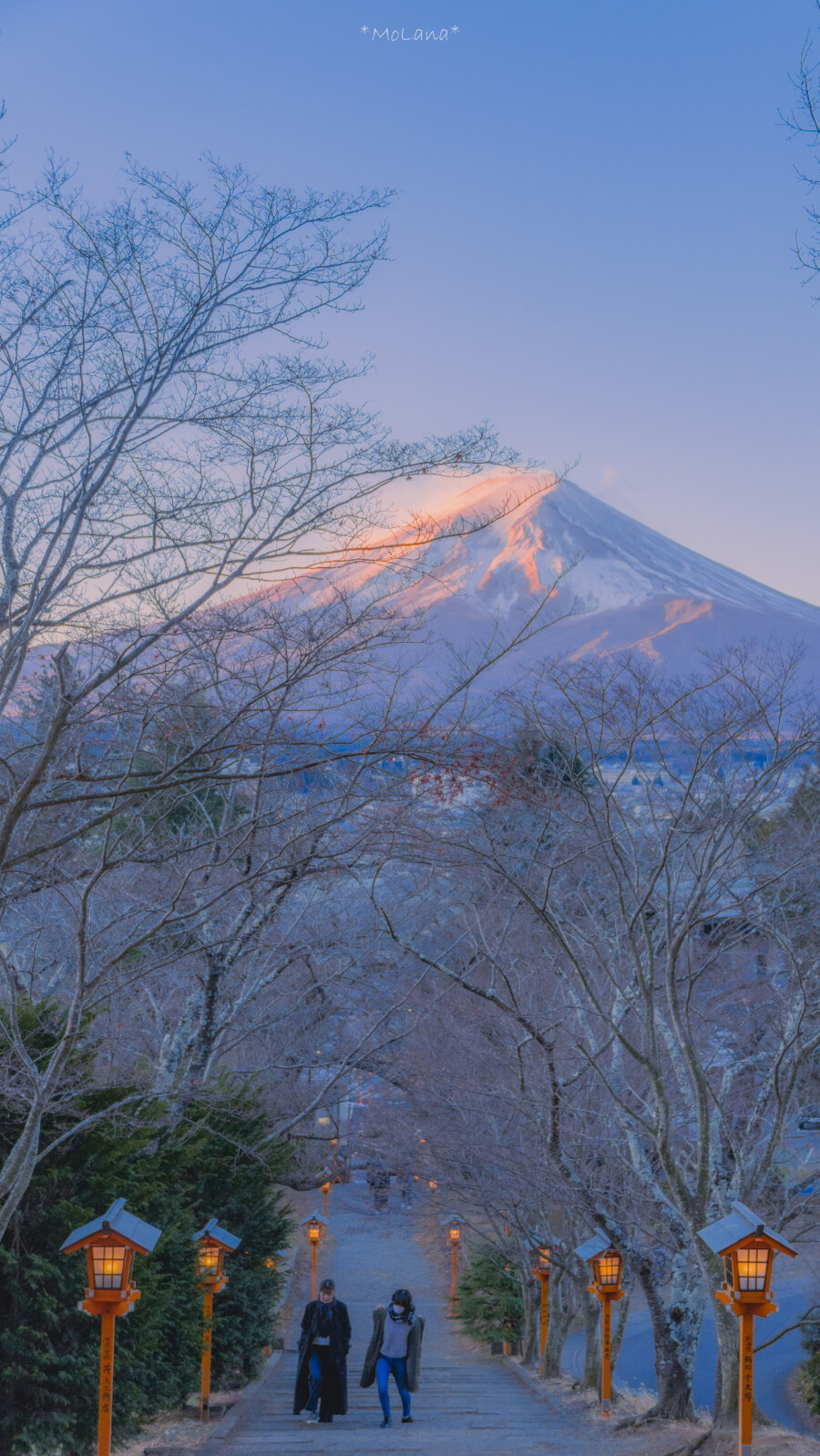 只有日本