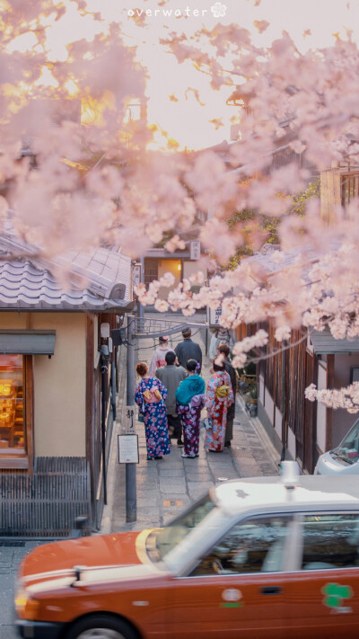 只有日本