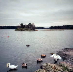 优质背景图  高清