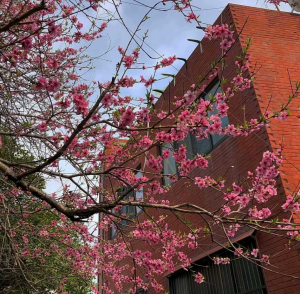 优质背景图高清