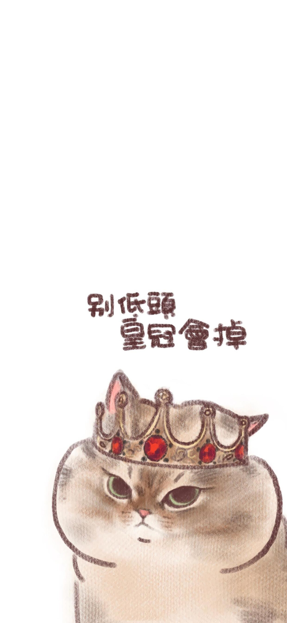 猫咪壁纸