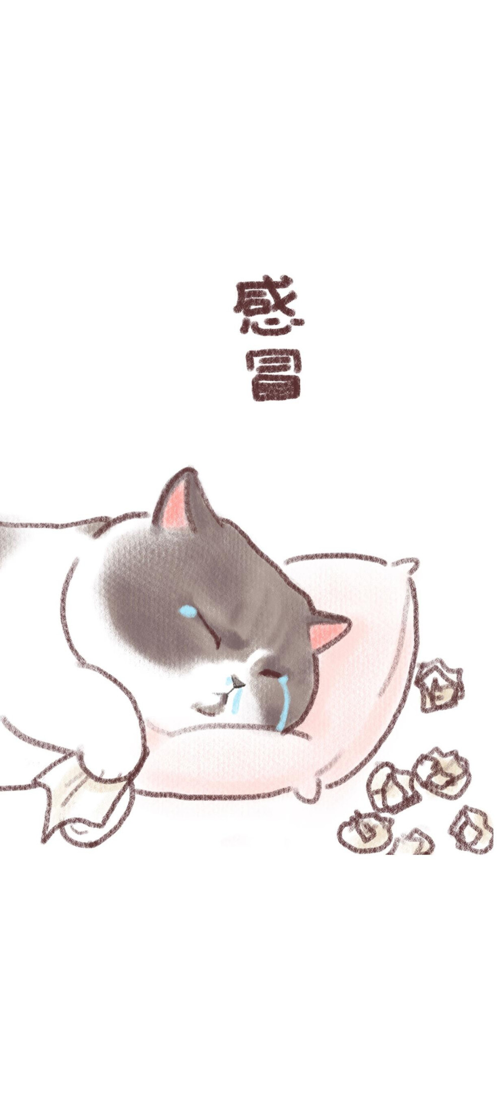 猫咪壁纸