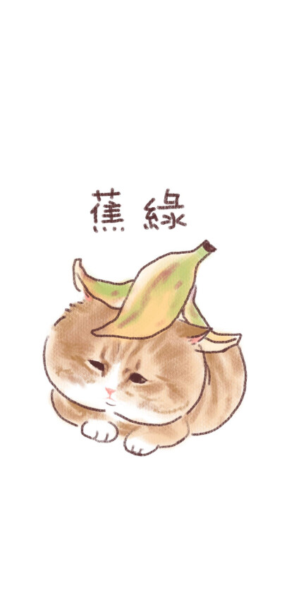 猫咪壁纸