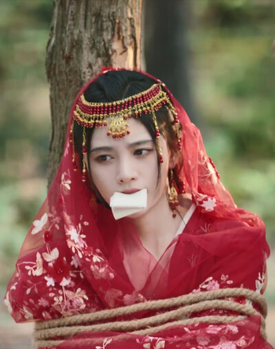 鞠婧祎 傅容 如意芳霏