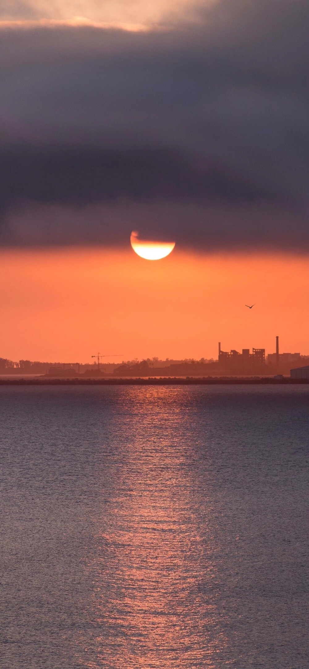 壁纸。风景。ins。夕阳。