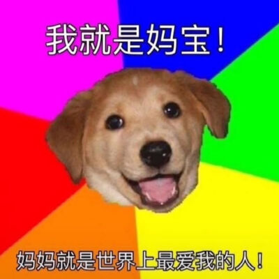 表情包