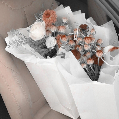 美女就要一起修
HoneylsSweet