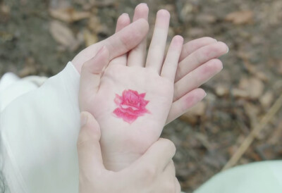 百花劫