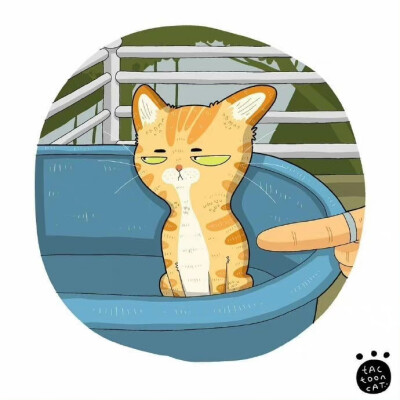 猫咪生活插画，画家：ROCKY Daily Cat Cartoon ​​​