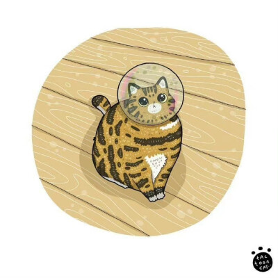 猫咪生活插画，画家：ROCKY Daily Cat Cartoon ​​​