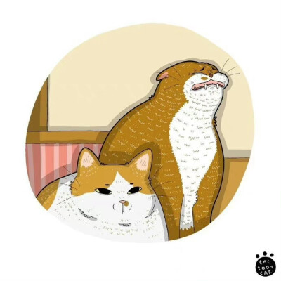 猫咪生活插画，画家：ROCKY Daily Cat Cartoon ​​​