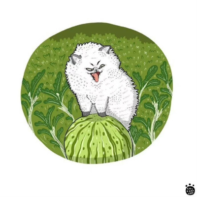 猫咪生活插画，画家：ROCKY Daily Cat Cartoon ​​​