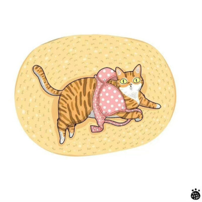 猫咪生活插画，画家：ROCKY Daily Cat Cartoon ​​​