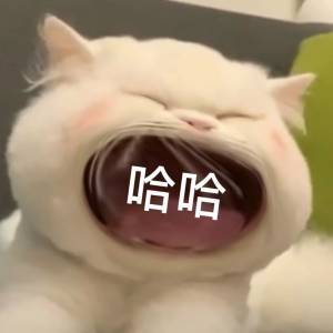 猫表情包