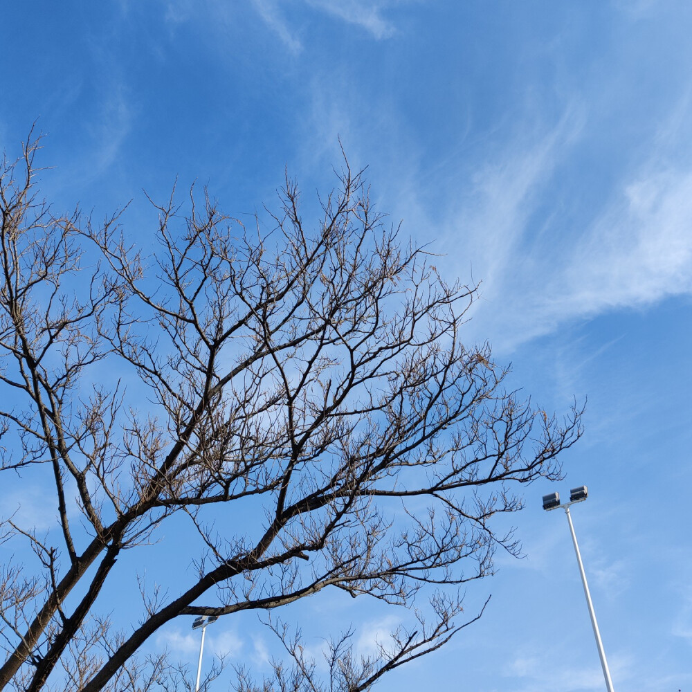 摄影天空 取图留言