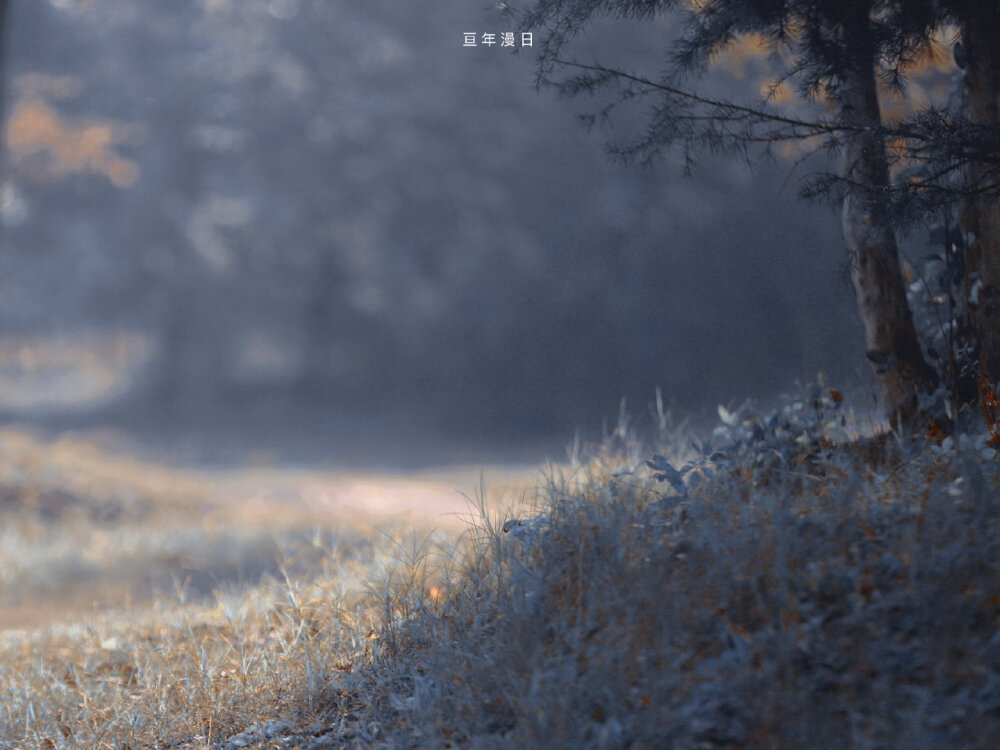 冬有冬的来意 ​​​
摄影师：亘年漫日