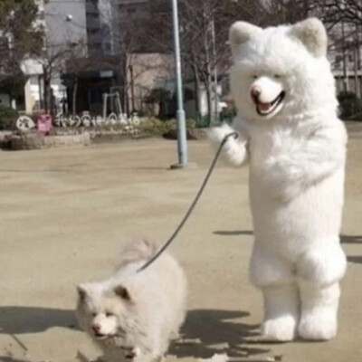 可爱