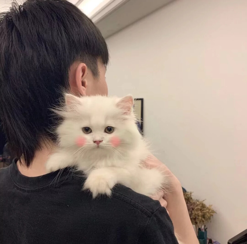 人和人还是刚认识的时候最好