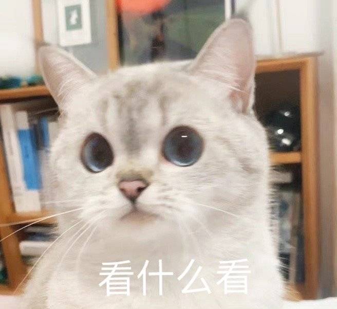 猫猫表情包