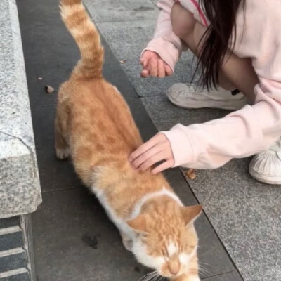 情头Ⅰ其实知道没结果但爱发生了都在觉得有结果