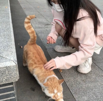 情头Ⅰ其实知道没结果但爱发生了都在觉得有结果