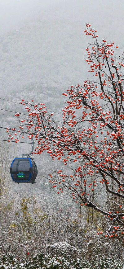 云台山 | 冬日冰雪壁纸
✦