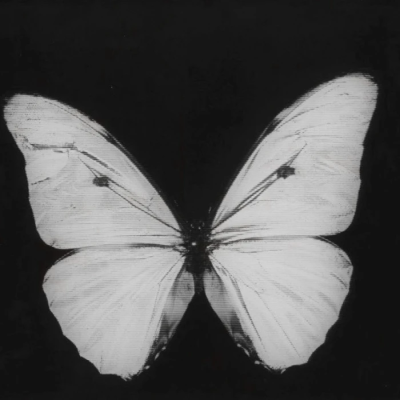 爱也不能随便说说吧